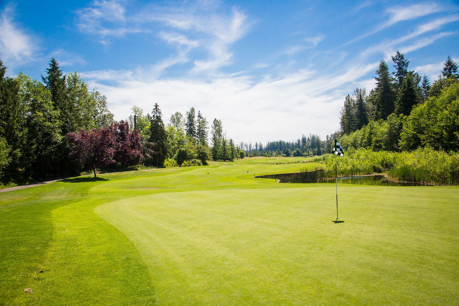 golf course near one microsoft way redmond